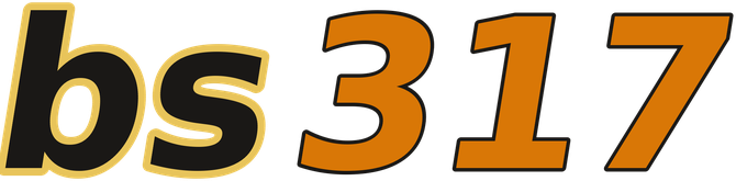 bs317 logo